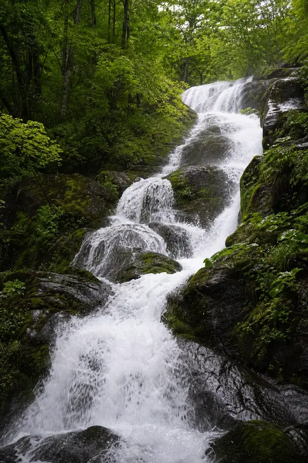Лесной водопад